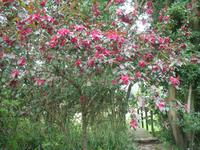 Besuch des Privatgartens der Familie Miles