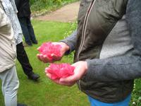 Besuch des Privatgartens der Familie Miles