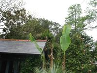 Besuch des Privatgartens der Familie Miles