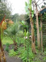 Besuch des Privatgartens der Familie Miles