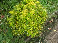 Besuch des Privatgartens der Familie Miles