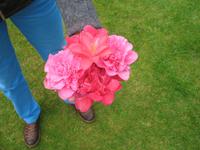 Besuch des Privatgartens der Familie Miles