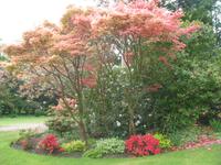 Besuch des Privatgartens der Familie Miles