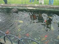 Besuch des Privatgartens der Familie Miles