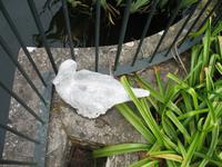 Besuch des Privatgartens der Familie Miles