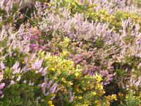 Wanderung Bonne Nuit 1