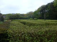 Sark, Seigneurie, Irrgarten