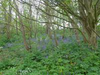 Sark, Wanderung zum La Coupee