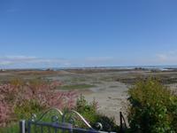 Jersey, Ostküste bei Ebbe