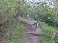 Jersey, Wanderung Nordküste