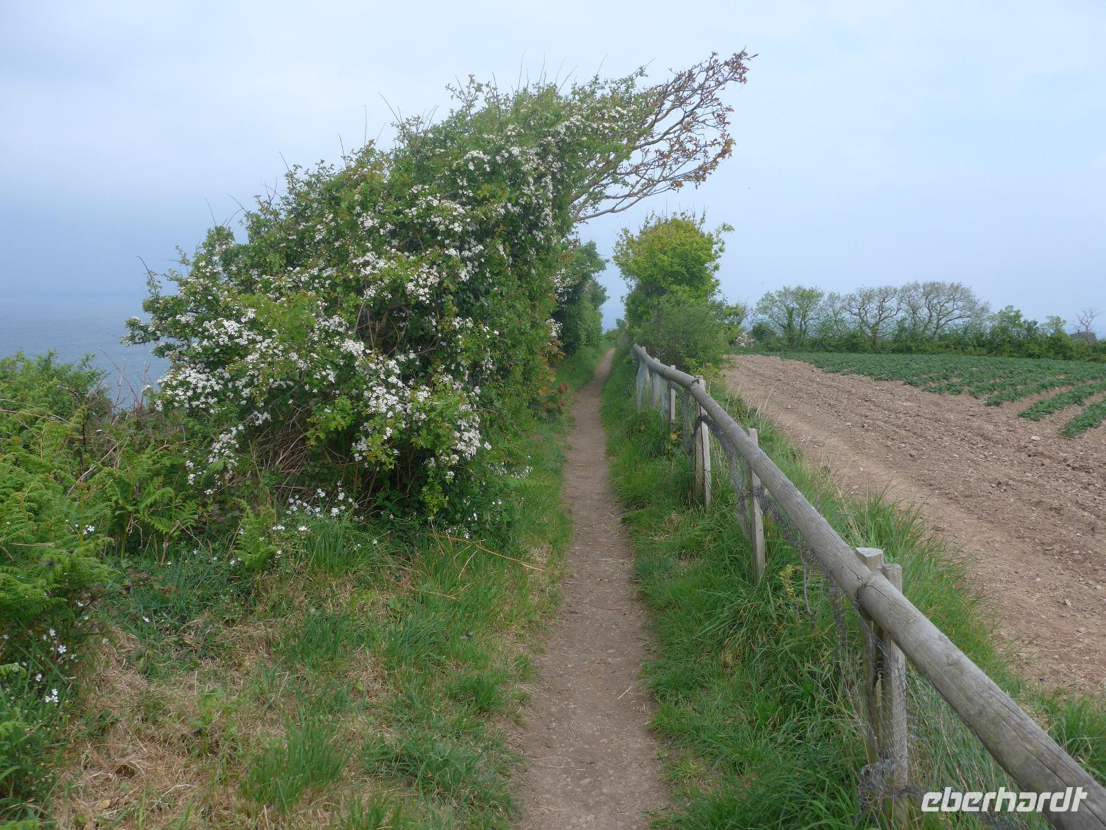 Jersey, Wanderung Nordküste