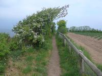 Jersey, Wanderung Nordküste