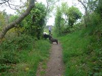 Jersey, Wanderung Nordküste