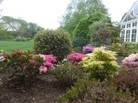 Jersey, Privatgarten Mr.Skipper