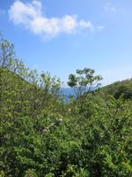 Blick von Sark auf eine der Buchten