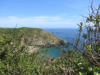 Ausblicke auf die Buchten sind immer wieder schön