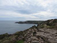 raue Schönheit der Klippen