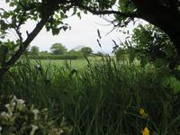 der Farbenreichtum des Grüns der Insel begeistert