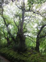 entlang der Green Lanes ging es zu den German War Tunnels