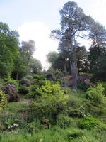 Privatgärten in Rozel Bay