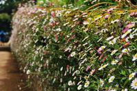 La Seigneurie - Garten