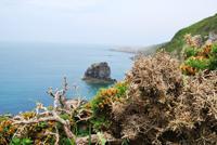 Rundgang auf Sark - Küste