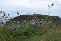 Blick nach little Sark