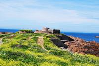 Fort Hommet - Guernsey