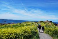 Fort Hommet - Guernsey