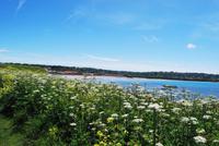 Fort Hommet - Guernsey