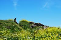 Fort Hommet - Guernsey