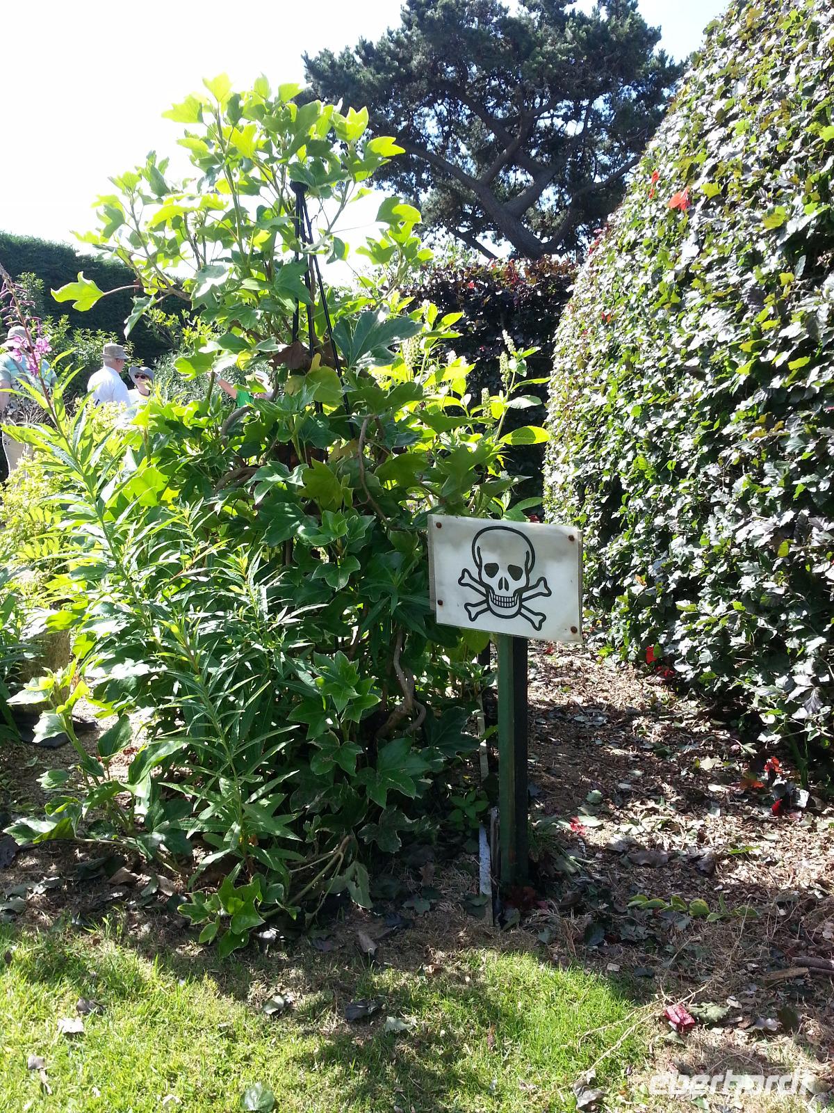 Vorsicht vor Miss Lee's Giftgaten !