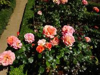 Sark - La Seigneurie