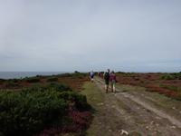 Wanderung durch die Heidelandschaft zum La Corbiere Leuchtturm