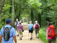 Wanderung entlang der alten Bahntrasse