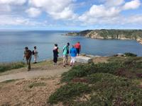 Inselrundfahrt Guernsey