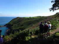 Ausblick vom Küstenwanderweg auf die Griffard Bay