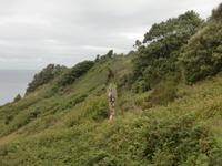 Auf dem Weg zum Rozel Bay