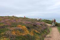 IMG_1370_Spaziergang an der Plémont Bay