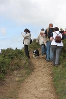 IMG_1400_Barney war auch dabei Guernsey