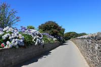 IMG_1551_Greenlane bei Portelet