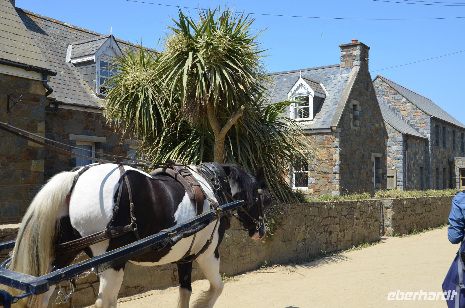 Erste Eindrücke von Sark