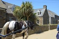 Erste Eindrücke von Sark