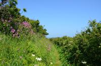 Wanderung zum La Coupée