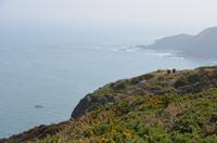 Der Nordwesten Jerseys