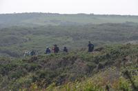 Wanderung im Norden Jerseys