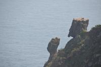 Fantasievolle Felsformationen