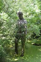 Teufelstatur vorm Devils Hole