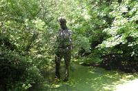 Teufelstatur vorm Devils Hole