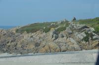 Rundfahrt entlang der Küste in Guernsey